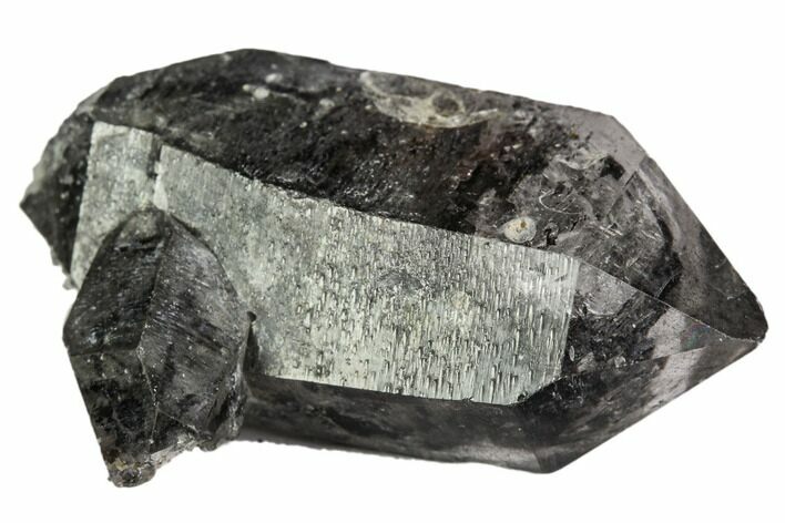Double-Terminated Smoky Quartz Crystal - Tibet #109598